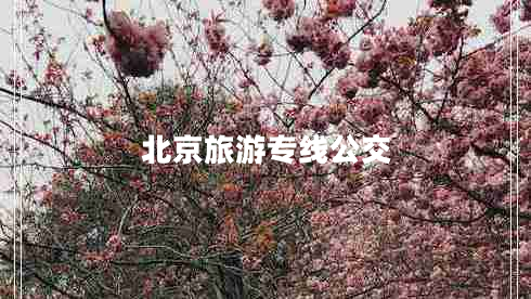 北京旅游專(zhuān)線(xiàn)公交