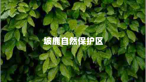 坡鹿自然保護區