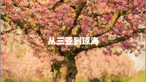 從三亞到瓊海