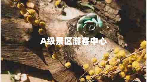 A級景區游客中心