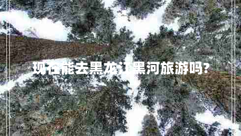 現在能去黑龍江黑河旅游嗎?