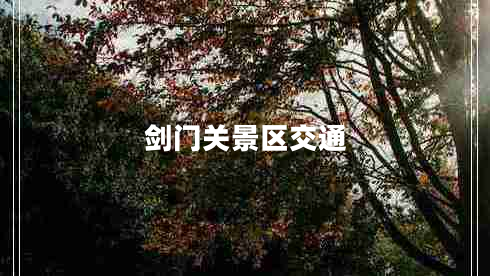 劍門(mén)關(guān)景區(qū)交通