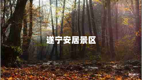遂寧安居景區