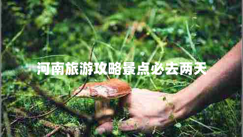 河南旅游攻略景點(diǎn)必去兩天