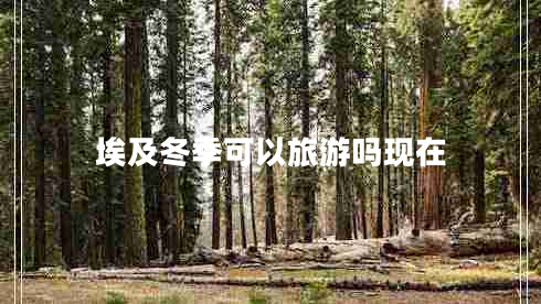 埃及冬季可以旅游嗎現在