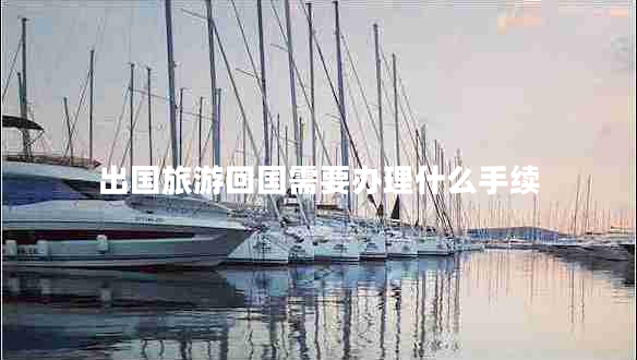 出國旅游回國需要辦理什么手續