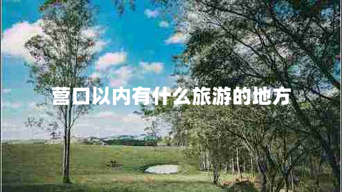 營(yíng)口以?xún)扔惺裁绰糜蔚牡胤? title=