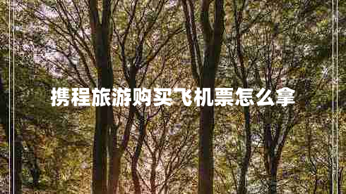 攜程旅游購買(mǎi)飛機票怎么拿