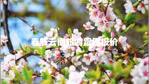 春節云南旅游跟團報價(jià)