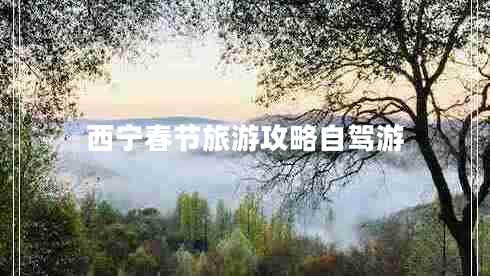 西寧春節旅游攻略自駕游