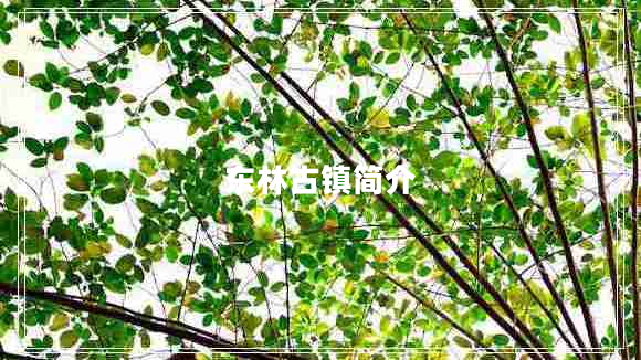 東林古鎮簡(jiǎn)介