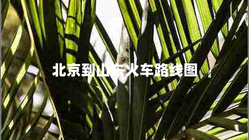 北京到山東火車(chē)路線(xiàn)圖