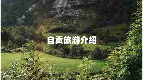 自貢旅游介紹