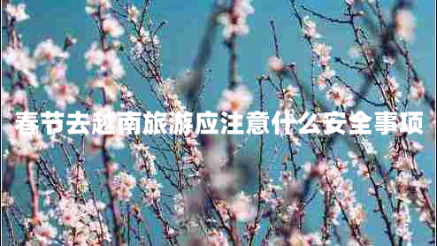 春節去越南旅游應注意什么安全事項