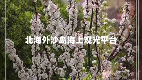 北海外沙島海上觀(guān)光平臺