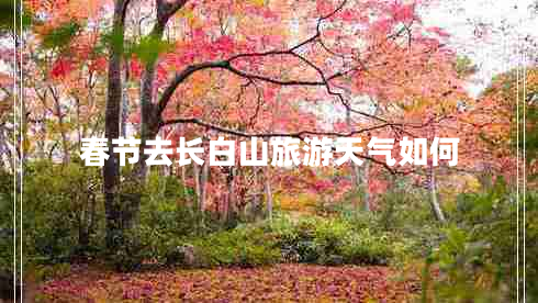 春節去長(cháng)白山旅游天氣如何