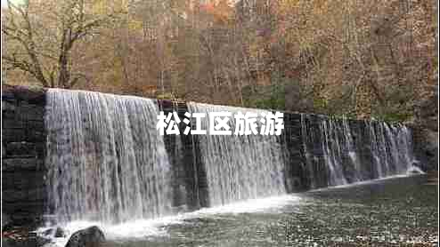 松江區旅游