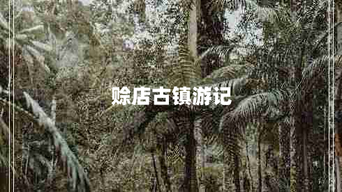 賒店古鎮游記