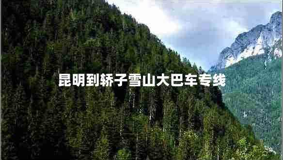 昆明到轎子雪山大巴車(chē)專(zhuān)線(xiàn)