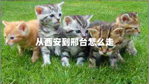 從西安到邢臺怎么走