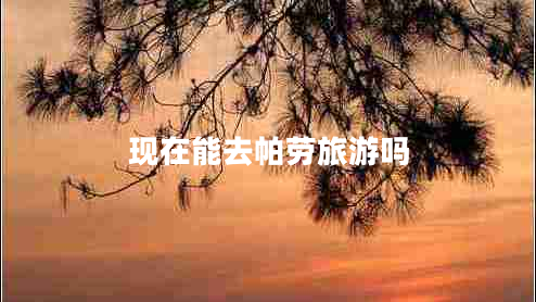現在能去帕勞旅游嗎