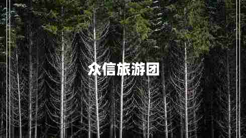 眾信旅游團