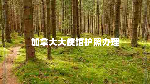 加拿大大使館護照辦理