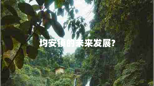 均安鎮的未來(lái)發(fā)展?