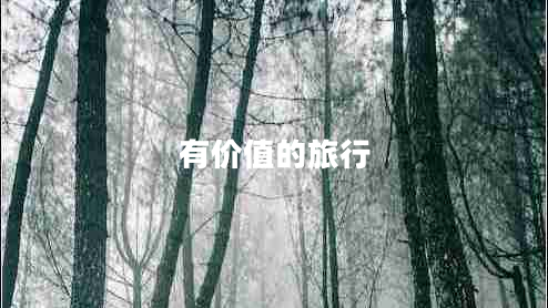 有價值的旅行