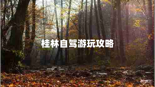 桂林自駕游玩攻略