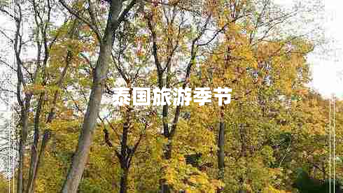 泰國旅游季節