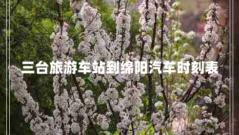 三臺旅游車(chē)站到綿陽(yáng)汽車(chē)時(shí)刻表