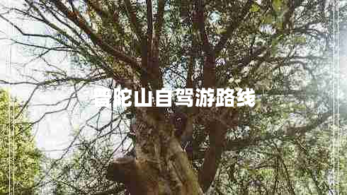 普陀山自駕游路線(xiàn)