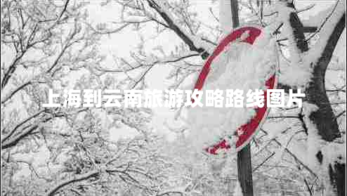 上海到云南旅游攻略路線(xiàn)圖片