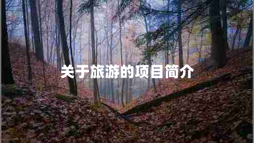 關(guān)于旅游的項目簡(jiǎn)介