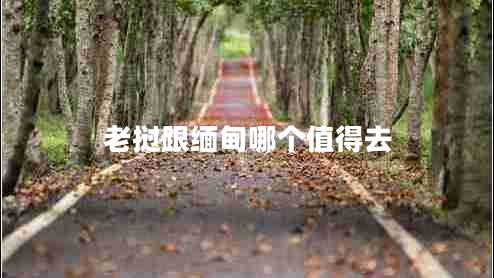 老撾跟緬甸哪個(gè)值得去