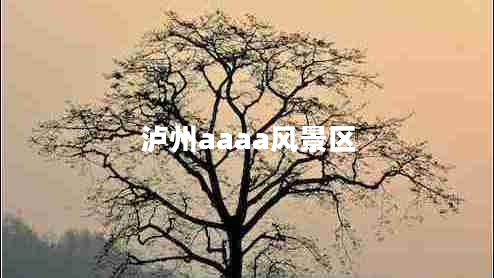 瀘州aaaa風(fēng)景區