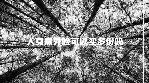 人身意外險可以買(mǎi)多份嗎