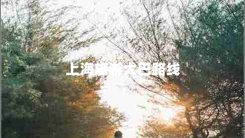 上海旅游大巴路線(xiàn)