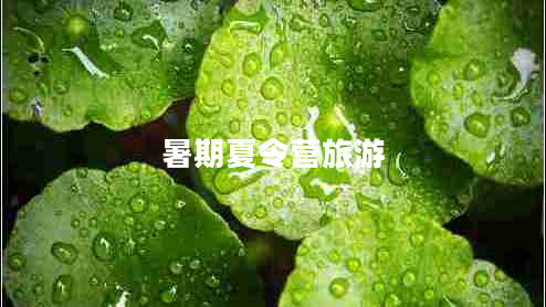 暑期夏令營(yíng)旅游