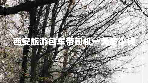 西安旅游包車帶司機一天多少錢
