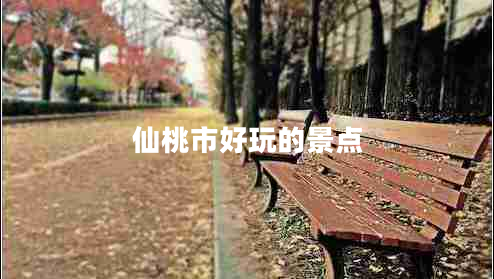 仙桃市好玩的景點(diǎn)