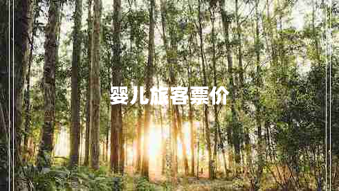 嬰兒旅客票價
