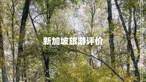 新加坡旅游評(píng)價(jià)