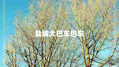 鹽城大巴車(chē)包車(chē)