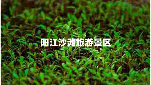 陽(yáng)江沙灘旅游景區(qū)