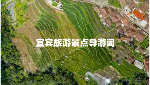 宜賓旅游景點導游詞