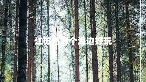 江蘇省哪個(gè)海邊好玩