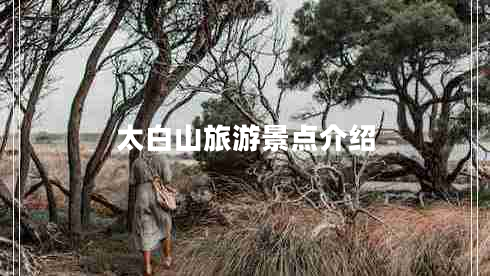 太白山旅游景點(diǎn)介紹