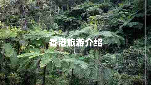 香港旅游介紹 香港旅游介紹
